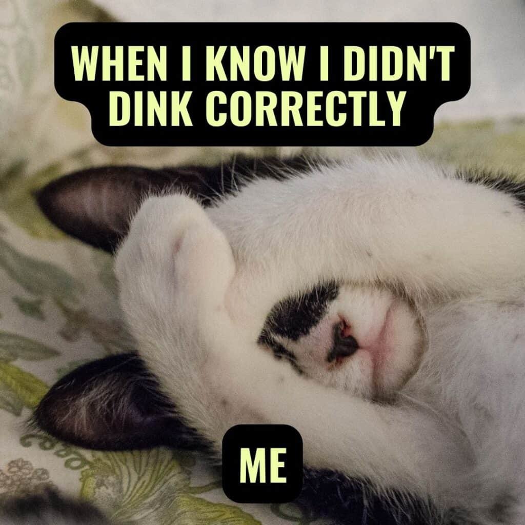 Pickleball Dink Memes