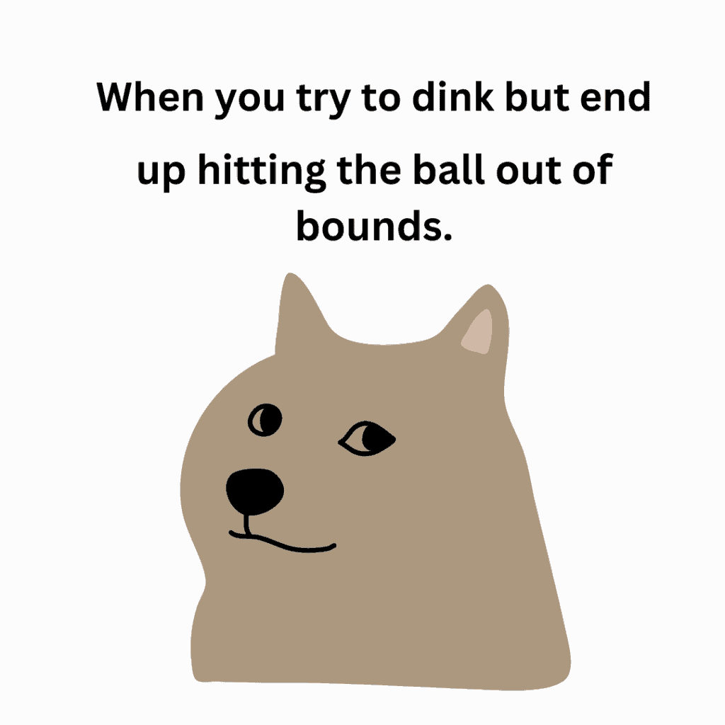 Pickleball-dink-Memes