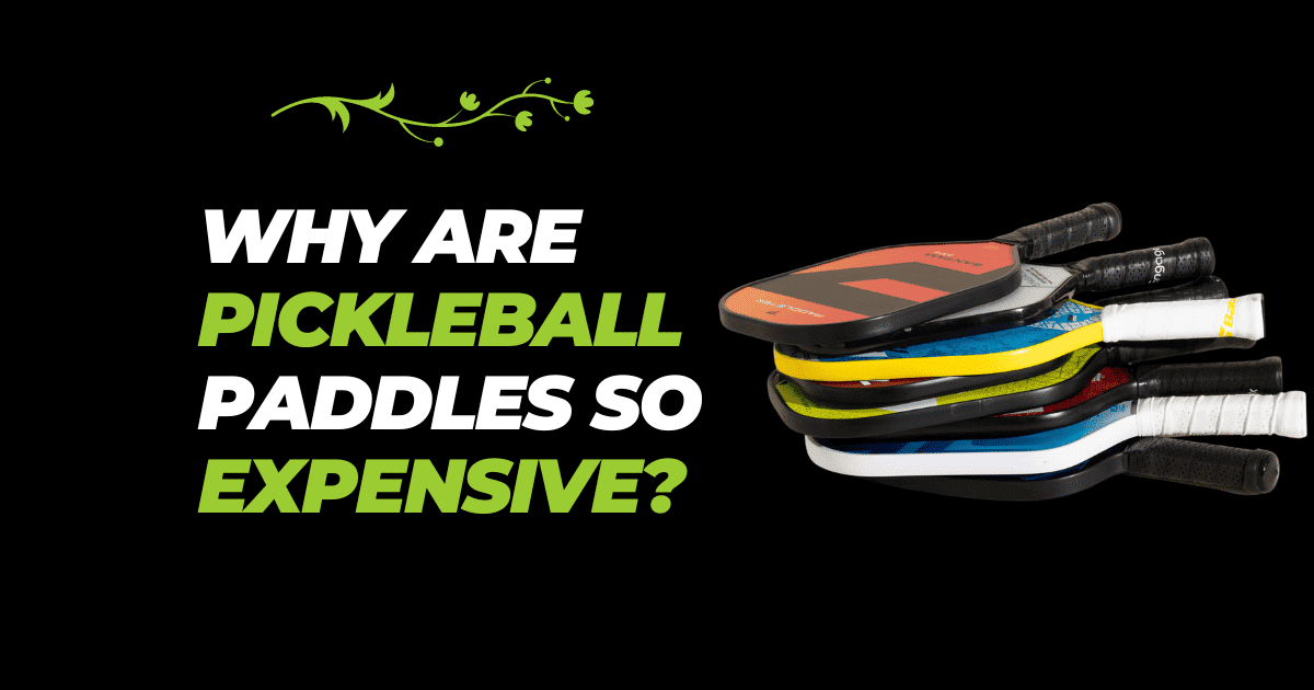 Why Are Pickleball Paddles So Expensive?