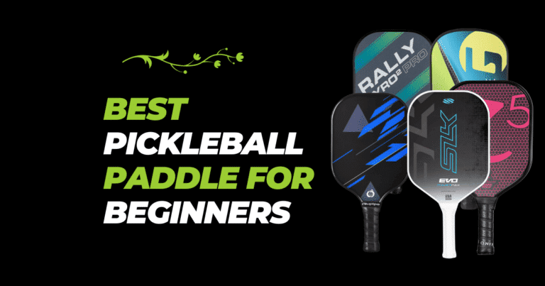 Best Pickleball Paddle for Beginners