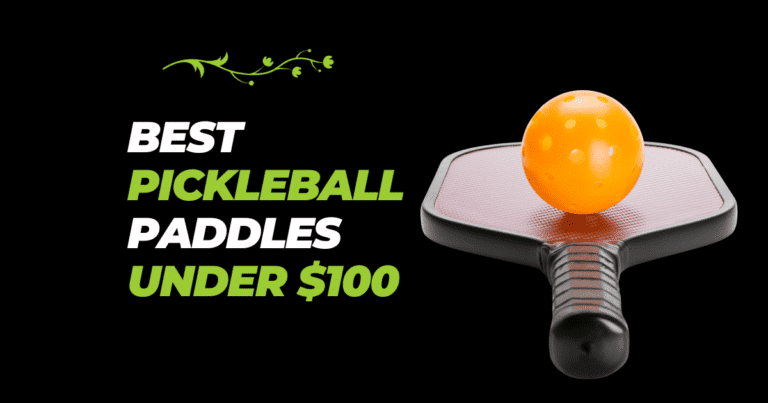 Best pickleball paddles under $100